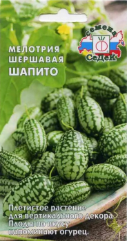 Мелотрия шершавая Шапито (арбуз мексиканский миниатюрный) /Седек/