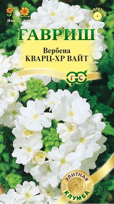Вербена гибридная Кварц ХР Вайт /Гавриш/