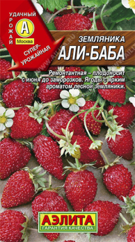 Земляника ремонтантная Али-Баба (Нидерланды) /Аэлита/