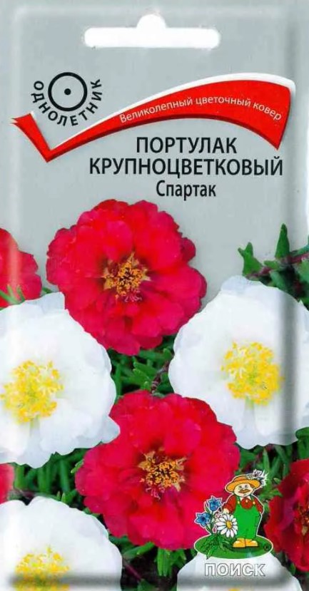 Портулак крупноцветковый Спартак (0,1 г) /Поиск/