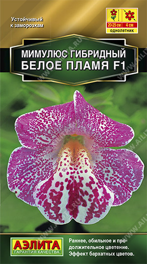Мимулюс гибридный Белое пламя F1 /Аэлита/