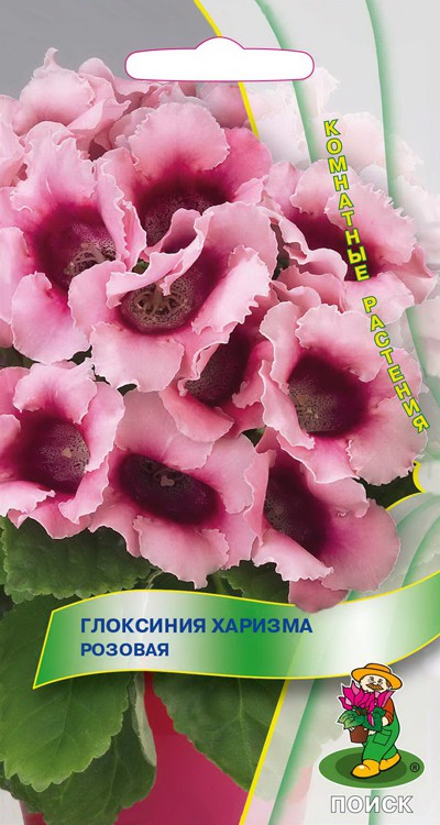 Глоксиния Харизма Розовая (5 шт) /Поиск/