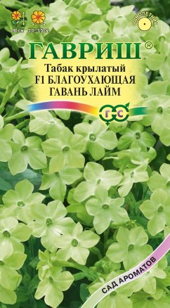 Табак Солнечный зайчик крылатый /Гавриш/ Чудесный балкон