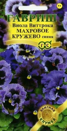 Виола Виттрока Махровое кружево синяя F1 4шт /Гавриш/