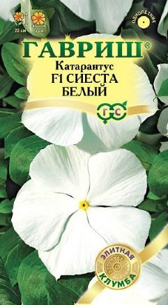 Катарантус Сиеста белый F1 /Гавриш/