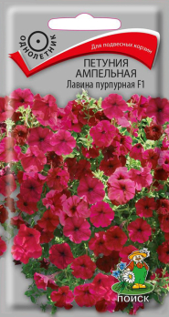 Петуния ампельная Лавина пурпурная F1 (10 шт) /Поиск/
