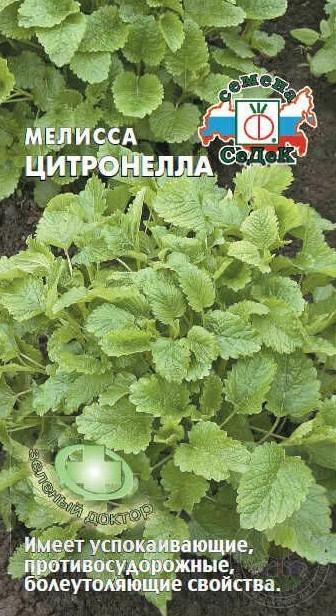 Мелисса Цитронелла /Седек/