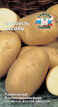 Картофель Ассоль /Седек/