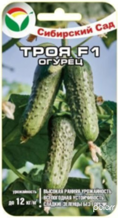 Огурец Троя F1 /Сибирский сад/