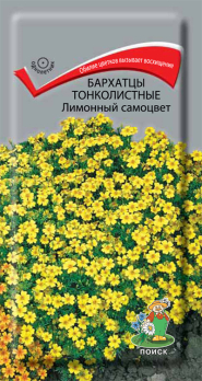 Бархатцы тонколистные Лимонный самоцвет (0,1 г) /Поиск/