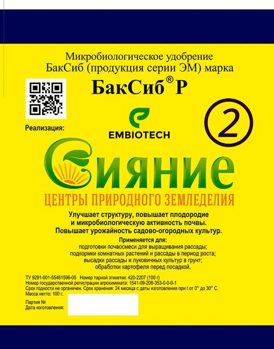 Сияние-2