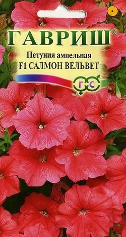 Петуния Салмон Вельвет (Сурфиния) ампельная /Гавриш/