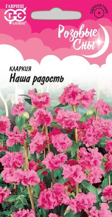 Кларкия Наша Радость ноготковая /Гавриш/