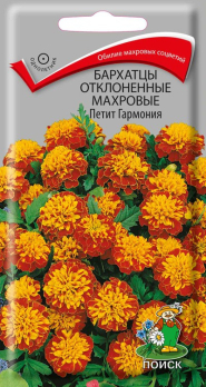 Бархатцы отклоненные махровые Петит Гармония (0,4 г) /Поиск/