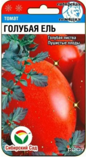 Томат Голубая Ель /Сибирский сад/