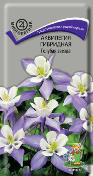 Аквилегия гибридная голубая звезда (0,05 г) /Поиск/
