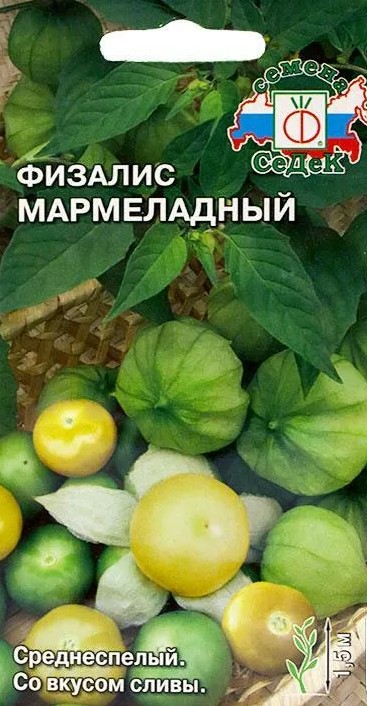Физалис Мармеладный /Седек/