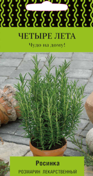 Розмарин Росинка (10шт) /Поиск/ Четыре лета