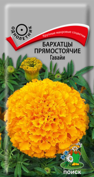 Бархатцы прямостоячие Гавайи (0,4 г) /Поиск/