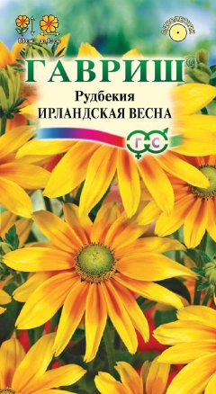 Рудбекия Ирландская весна /Гавриш/ Устойчив к заморозкам!