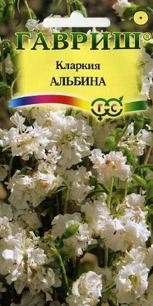 Кларкия изящная Альбина /Гавриш/