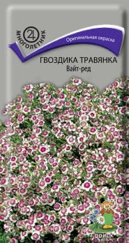 Гвоздика Травянка Вайт-Ред (0,1 г) /Поиск/