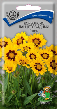 Кореопсис ланцетовидный Потеха (0,1 г) /Поиск/