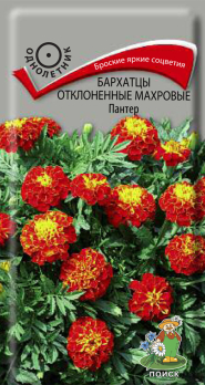 Бархатцы отклоненные махровые Пантер (0,2 г) /Поиск/