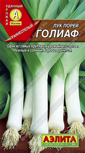Лук порей Голиаф (Италия) /Аэлита/
