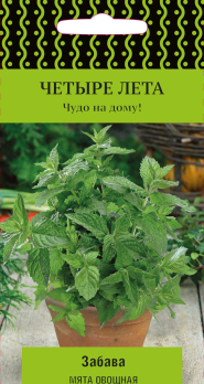 Мята Забава (20шт) /Поиск/ Четыре лета