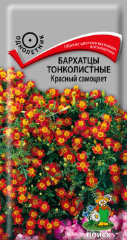 Бархатцы тонколистные Красный самоцвет (0,1 г) /Поиск/