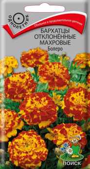 Бархатцы отклоненные махровые Болеро (0,4 г) /Поиск/