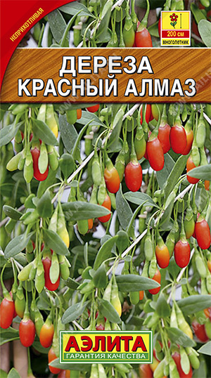 Дереза обыкновенная (ягода Годжи) Красный алмаз (Россия)/Аэлита/