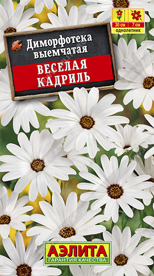 Диморфотека Веселая кадриль (Нидерланды) /Аэлита/