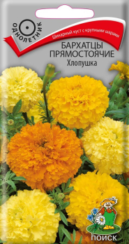 Бархатцы прямостоячие Хлопушка (0,4 г) /Поиск/
