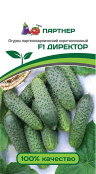 Огурец Директор F1 (5шт) /Партнер/