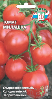Томат Милашка /Седек/
