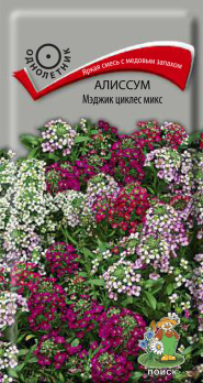 Алиссум Мэджик циклес микс (0,1 г) /Поиск/