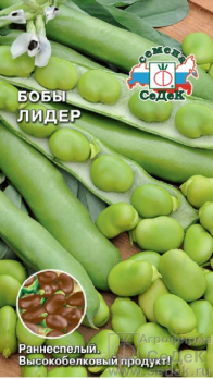 Бобы Лидер /Седек/
