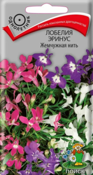 Лобелия эринус Жемчужная нить (0,1 г) /Поиск/