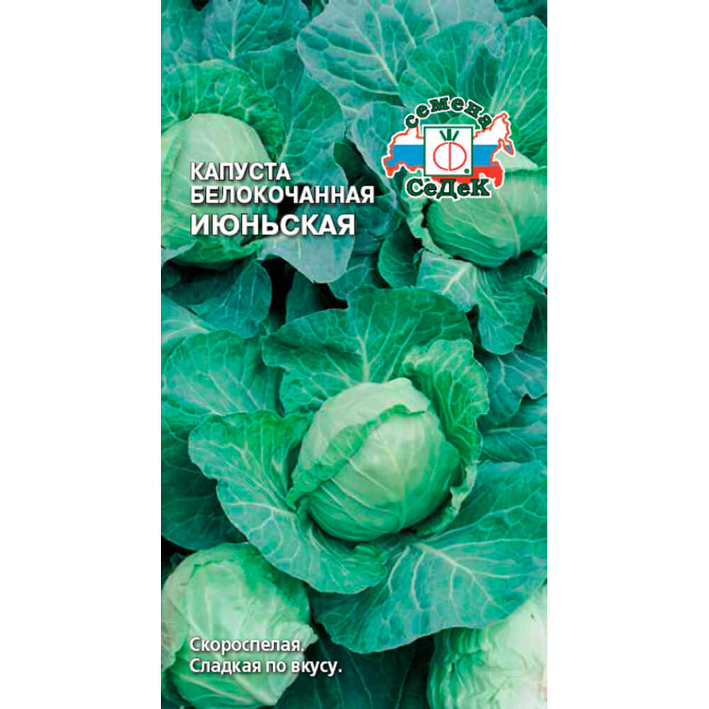 Капуста белокочанная Июньская /Седек/