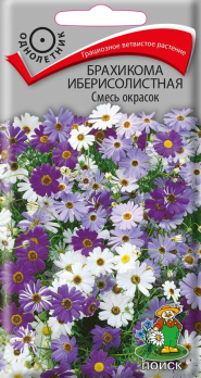 Брахикома Иберисолистая Смесь окрасок (0,03 г)/Поиск/