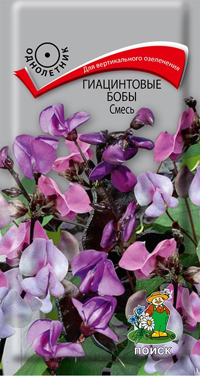Гиацинтовые бобы Смесь (1 г) /Поиск/