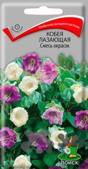 Кобея лазающая Смесь окрасок (5 шт) /Поиск/