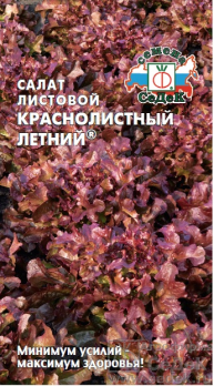 Салат Краснолистный Летний листовой /Седек/