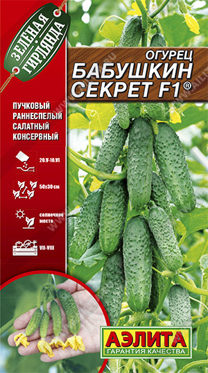 Огурец Бабушкин секрет F1 (Италия) /Аэлита/