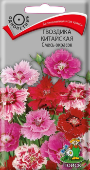 Гвоздика Китайская Смесь окрасок (0,25 г) /Поиск/