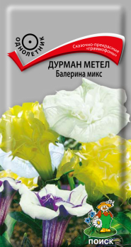 Дурман метел Балерина микс (3 шт)  /Поиск/