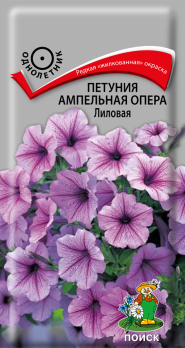 Петуния ампельная Опера Лиловая (5 шт) /Поиск/