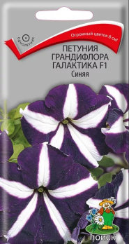 Петуния грандифлора Галактика F1 Синяя /Поиск/